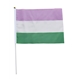 Gender Queer 20 x 27 cm hand Flag